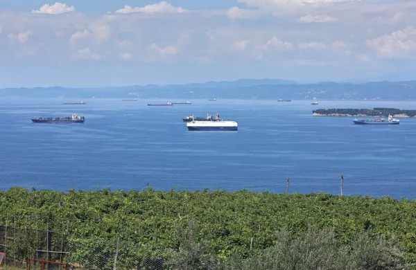 Potres  z žariščem pod Jadranskim morjem v Italiji so čutili 
prebivalci Kopra, Izole in okoliških naselij ter posamezni prebivalci Nove Gorice in okolice.