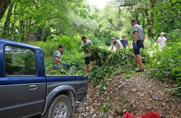 Ob pomoči strokovnih delavcev PŠJ so se mladi prostovoljci  lotili 
odstranjevanja invazivnih tujerodnih rastlin ob Malnih.