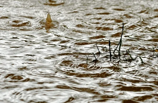 Na vzhodu Hrva&scaron;ke po neurju poplave