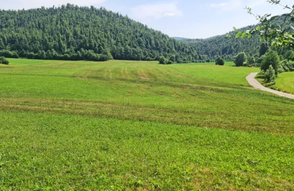Sajevško polje je bilo po ugotovitvah inšpekcije gnojeno skladno s 
predpisi.