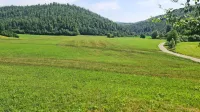 Sajevško polje je bilo po ugotovitvah inšpekcije gnojeno skladno s 
predpisi.