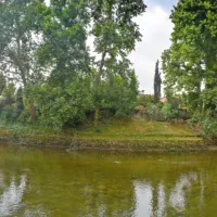  Življenje domačinov je od nekdaj povezano  z Vipavo, ki se tukaj  
vije v velikih okljukih. 