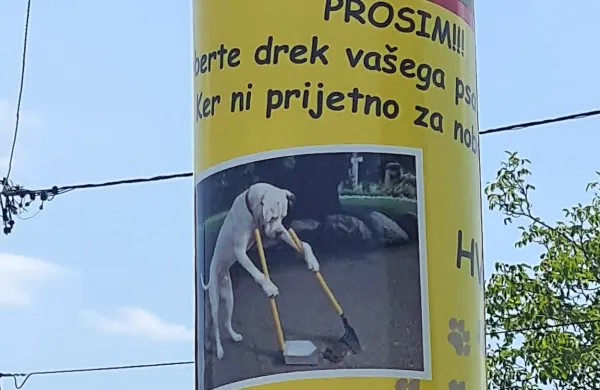 Da je zadeva moteča tudi za druge bližnje stanovalce,

 dokazuje  plakat na drogu javne razsvetljave. 