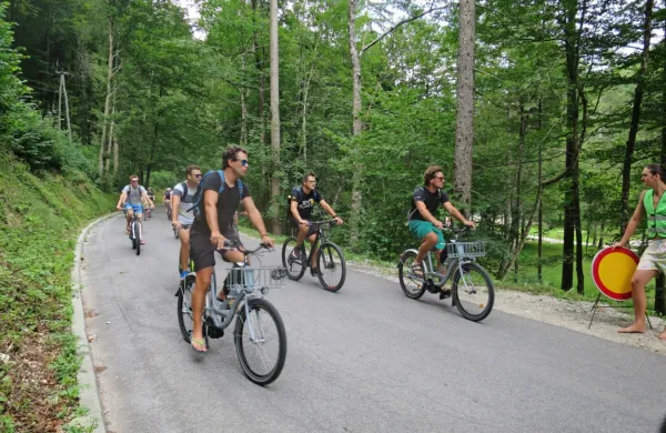 &Scaron;tudenti se vračajo