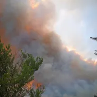 Primorski gasilci re&scaron;ujejo makedonske vasi
