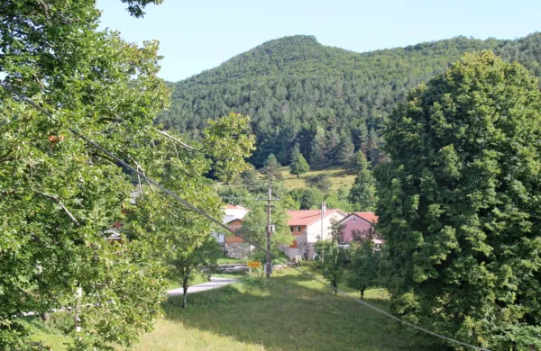 Po klicu na pomoč so policisti  štiri prebežnike iz Afganistana našli 
pri vasi  Zagrad.