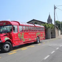 Posebno atrakcijo predstavlja tudi starodobni avtobus, ki po 
potrebi povezuje Marezige s Koprom.