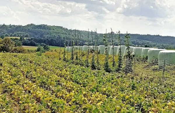 Kmetje izrecno nasprotujejo zlasti prenosu denarja iz prvega 
stebra, ki vključuje neposredna plačila, v drugega, ki podpira  
razvoj podeželja.