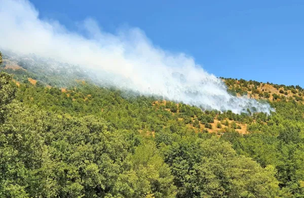 Okoli 10. ure je zagorelo na območju med Brestovico in Seli na 
Krasu, v bližini tamkajšnjega črpališča.