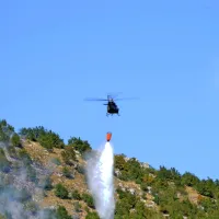 Foto: Aljoša Jarc