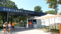 Mnogi obiskovalci Lipice so letos vstopnino plačali z letošnjimi 
turističnimi boni - doslej so jih vnovčili že čez tisoč.