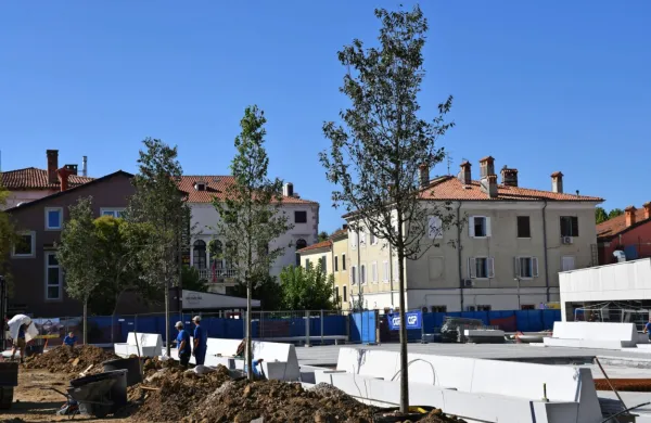 Ozelenitvena dela bodo trajala predvidoma tri tedne. (Foto vir: 
Arhiv MOK)