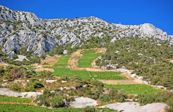 Hvar
