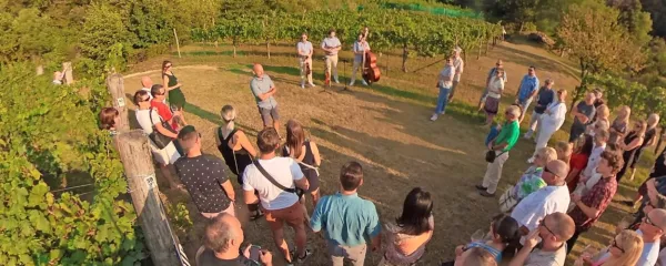 Vipavski poklon modremu pinotu