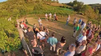 Vipavski poklon modremu pinotu