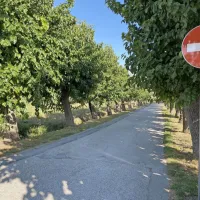 Markova ulica v Bertokih