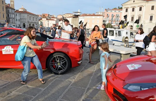 Poskočni konjički nase vlečejo primorske poglede