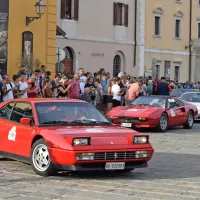 Poskočni konjički nase vlečejo primorske poglede
