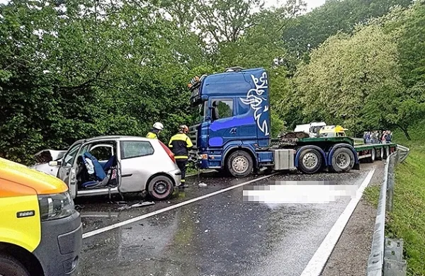 Voznik tovornjaka, doma  iz okolice Matuljev, je približno  30 
kilometrov od svojega doma prekrižal  pot fiatu puntu, v katerem 
so se  štirje  domačini  peljali na delo proti  Pivki.  