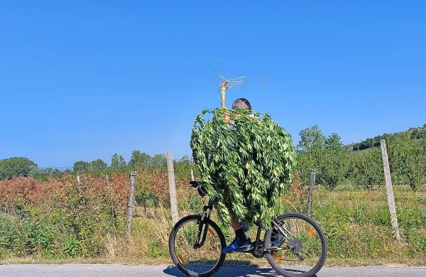 Z eno roko je držal krmilo, z drugo dragoceno omamno rastlino.