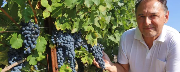 Klenar bdi nad trgatvijo v največji &scaron;tajerski kleti