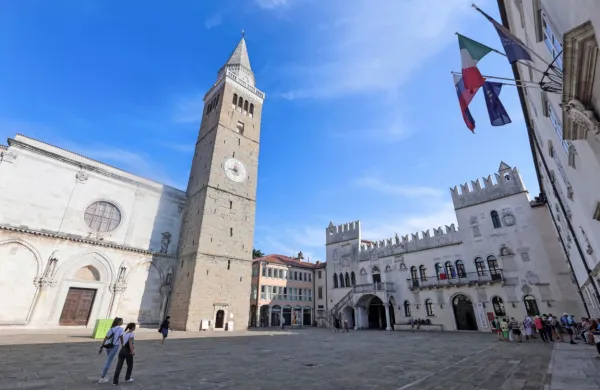S poletno turistično sezono so zelo zadovoljni tudi v Zavodu za 
mladino, kulturo in turizem Koper, saj številke tako glede prihodov kot nočitev presegajo številke iz lanskega leta kot tudi iz 
predkoronskega leta 2019.