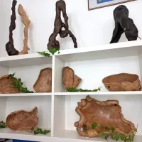 Med imresivnimi lesenimi skulpturami so  umetniško dekorativni 
kot tudi uporabni izdelki. 