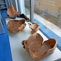 Podobe zmajev, kač, čarovnic in mitolo&scaron;kih bitij iz notranjskih gozdov