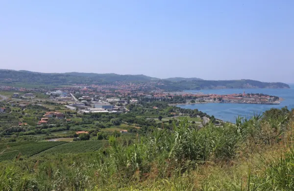 Prihodnji teden cepljenje v Jagodju, Kortah in Livadah, za starej&scaron;e na voljo tudi prevoz