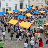 Sladkali so se s sladicami iz slovenske Istre