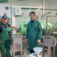Začenja se leto&scaron;nja oljkarska sezona