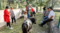 Najmlajši so v Užitnem in čutnem parku v središču Postojne 
spoznavali ovce, ponija, piščančke  in pastirskega psa.