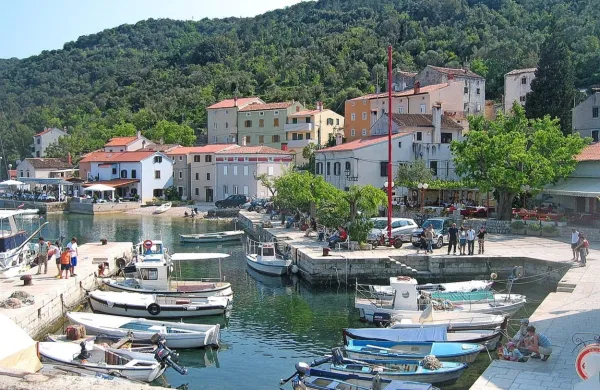 Valun (foto vir: Wikipedia/Sl-Ziga)