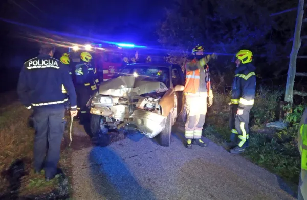 S ceste na brežino in v drevo