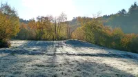 Posledice za jutri napovedane slane bo zelo verjetno opaziti  na 
jesenskem cvetju, v  nevarnosti so lahko tudi zelenjadnice, na 
primer plodovke, ki so ponekod še na vrtovih.