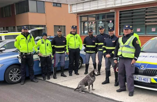 Naši (v rumenih jopičih) in italijanski policisti so v torek združili 
moči na Fernetičih. 