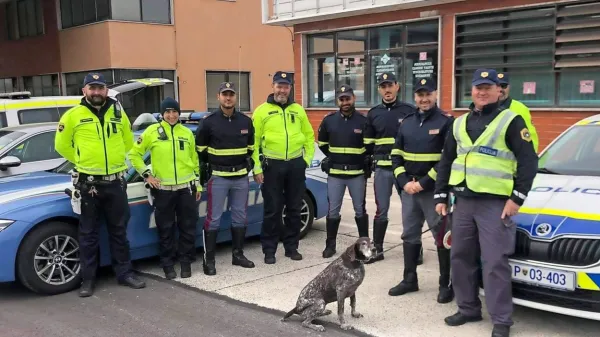 Naši (v rumenih jopičih) in italijanski policisti so v torek združili 
moči na Fernetičih. 