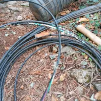 Kra&scaron;evcem so mi&scaron;i pojedle internet