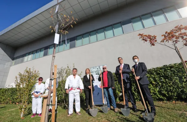 Posadili so judo drevo Jita Kyoei