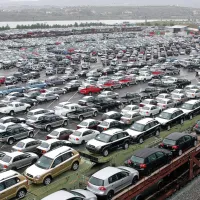 Luka ima peti največji avtomobilski terminal v Evropi in največji v 
Sredozemlju.