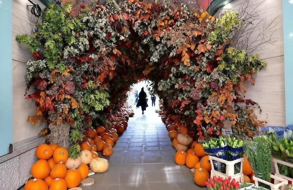 Buče so zaščitni znak halloweena marsikje po svetu. 