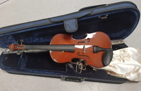 I&scaron;čejo lastnika ali lastnico violine