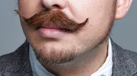 Iz gibanja Movember  je nastal mednarodni mesec ozaveščanja o 
rakih pri moških z brki kot zaščitnim znakom. 