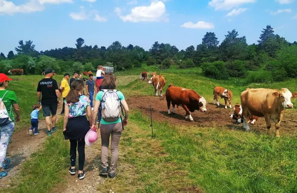 SONARAVNO KMETIJSTVO, VIR ZDRAVE HRANE IN OHRANJANJA OKOLJA