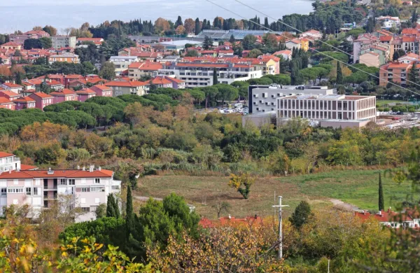 Po mnogih letih je opuščen kamnolom (v osrednjem delu fotografije) prekrilo bujno rastje. Kaj se skriva pod njim,  ni videti.   
