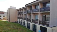 Po neuspešni kandidaturi za prenovo doma, bodo v Postojni 
skušali odločevalce prepričati v gradnjo novega doma.    