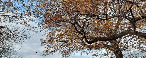 Ob lepem dnevu je tudi novembra lepo v naravi.