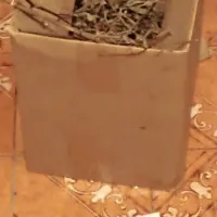 45-letniku na Cerkljanskem zasegli travo in naboje za pi&scaron;tolo