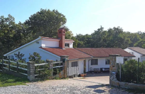 Objavili so razpis za zaveti&scaron;če za živali
