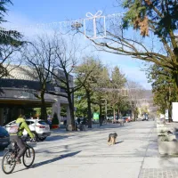 Na Delpinovi ulici bo popolnoma nov režim, parkiranje bo od 
ponedeljka plačljivo. 